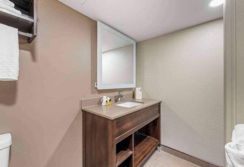 带2个双人床的标准工作室, Best Western Plus Ramkota