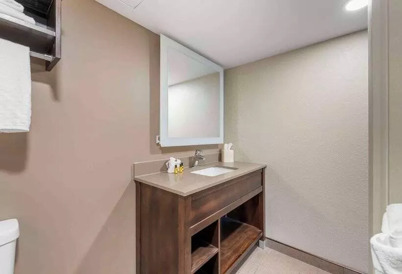 اتاق استاندارد با 2 تخت دوبل, Best Western Plus Ramkota