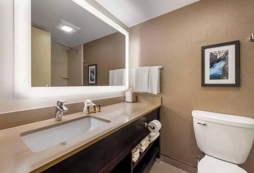 اتاق استاندارد با 2 تخت دوبل, Best Western Plus Ramkota