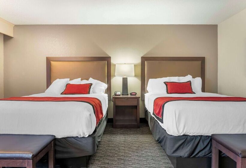 标准间, Best Western Plus Ramkota