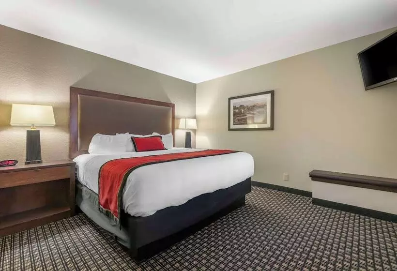 سوییت, Best Western Plus Ramkota