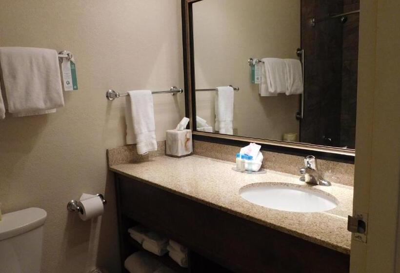 带大床的套房, Best Western Plus Ramkota