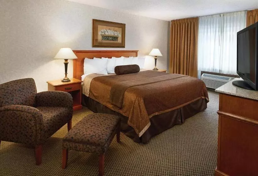 اتاق استاندارد با تخت بزرگ, Best Western Plus Ramkota