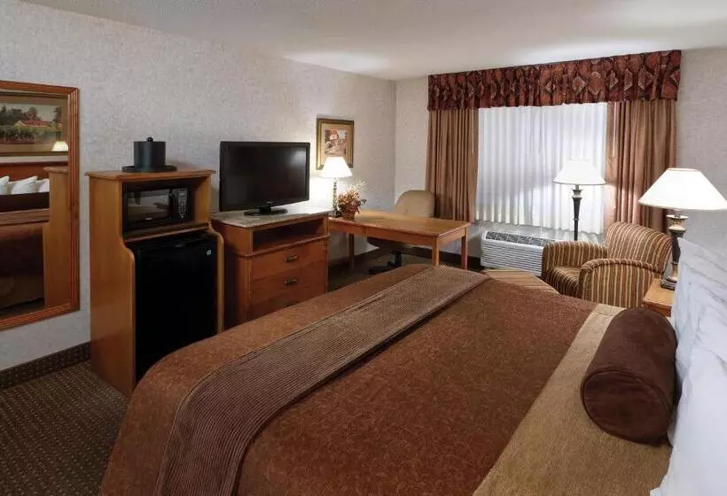 اتاق استاندارد با تخت بزرگ, Best Western Plus Ramkota