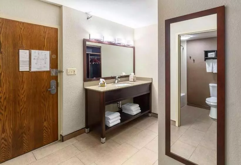سوئیت 2 خوابه, Best Western Plus Ramkota