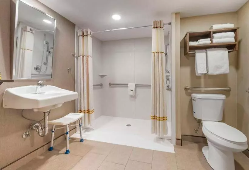 اتاق استاندارد برای معلولان, Best Western Plus Ramkota