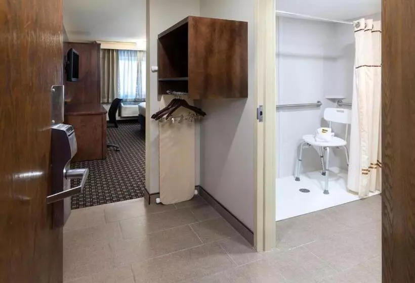 اتاق استاندارد با تخت بزرگ برای معلولان, Best Western Plus Ramkota