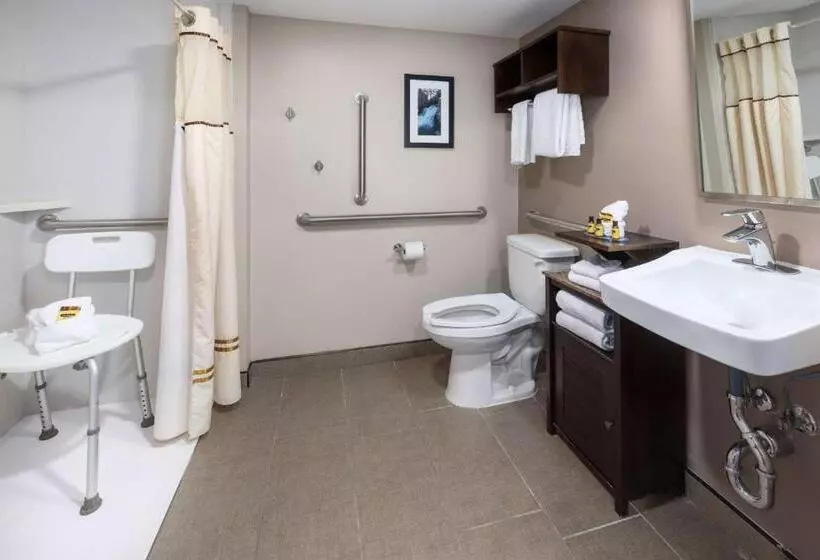 اتاق استاندارد با تخت بزرگ برای معلولان, Best Western Plus Ramkota