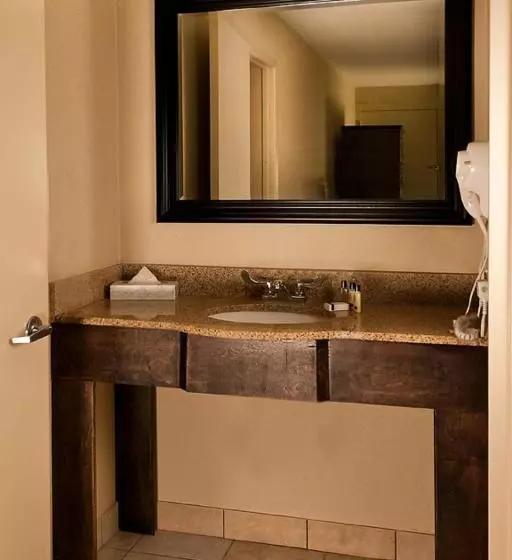 デラックススイート, Grand Texan Hotel And Convention Center