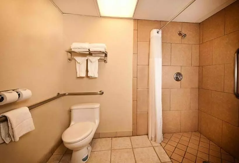 デラックススイート, Grand Texan Hotel And Convention Center