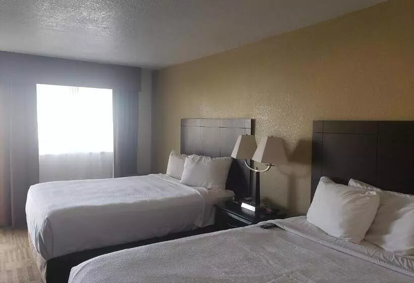 スタンダードルーム, Grand Texan Hotel And Convention Center