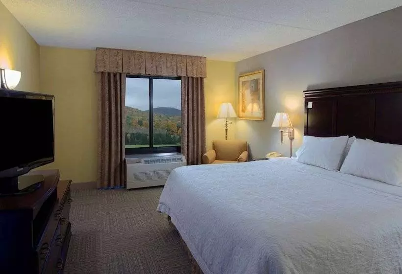 スタンダードルーム, Hampton Inn Bennington