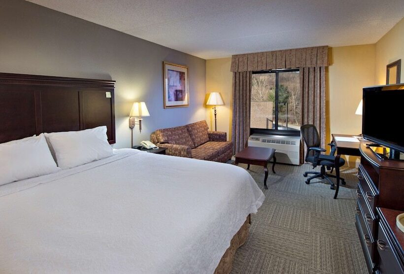 スタンダードルーム, Hampton Inn Bennington