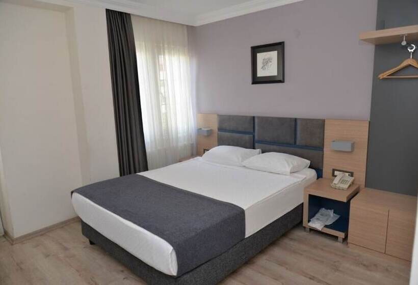 غرفة قياسية فردية, Helen