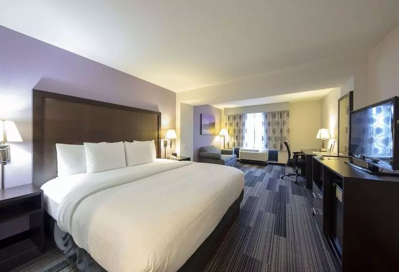 اتاق لوکس, La Quinta Inn & Suites By Wyndham Springfield Airport Plaza