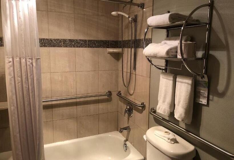 Номер Стандарт, Shilo Inn Portland Rose Garden Convention Center