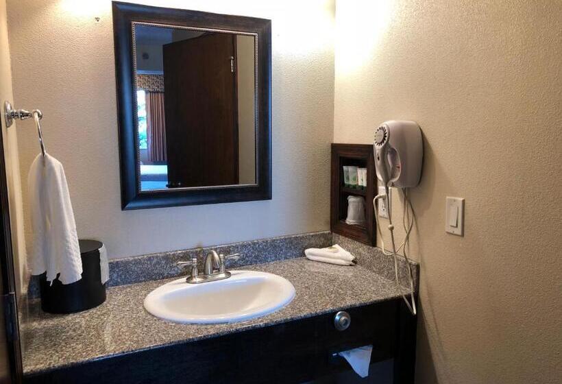 Номер Стандарт, Shilo Inn Portland Rose Garden Convention Center