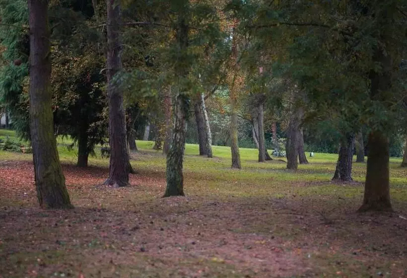 クラシックシングルルーム, Great Hallingbury Manor & Lodges
