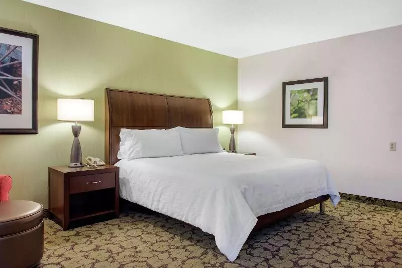 اتاق استاندارد با تخت بزرگ, Hilton Garden Inn Portland Airport