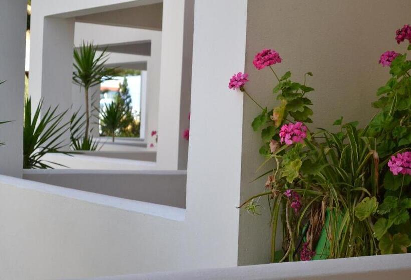 Номер Стандарт Трехместный, Palladion