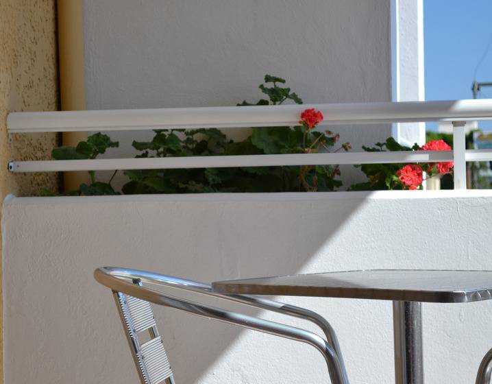 Номер Стандарт, Palladion