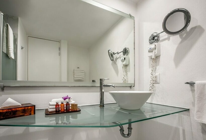 디럭스 룸 바다 전망, Park Royal Beach Mazatlán