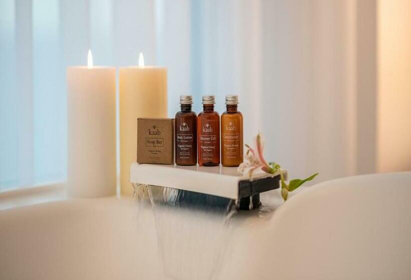 스탠다드 룸 킹사이즈 침대, Park Royal Beach Mazatlán