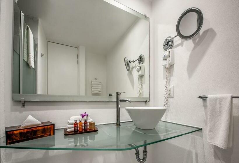 스탠다드 룸 킹사이즈 침대, Park Royal Beach Mazatlán