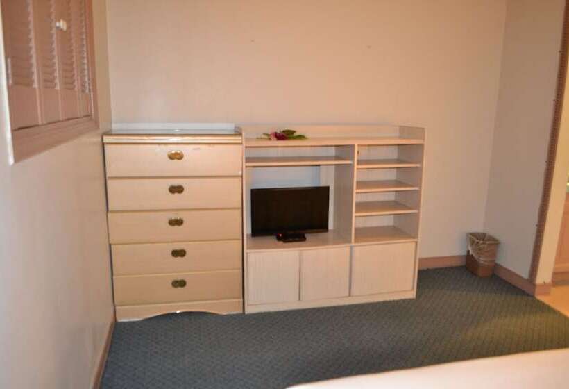 اتاق استاندارد, West Plaza Desekel