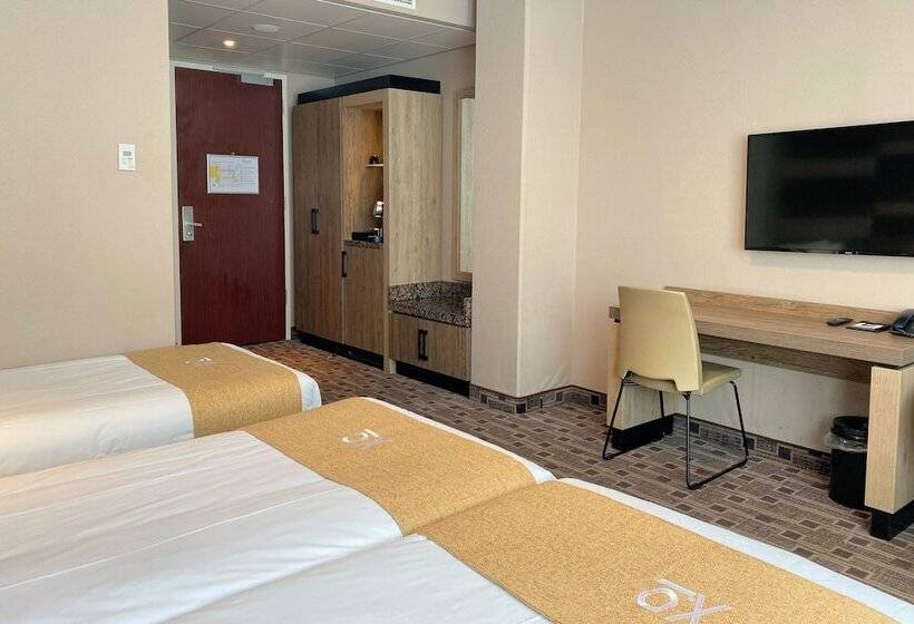 اتاق استاندارد سه نفره, Xo Hotels Blue Square