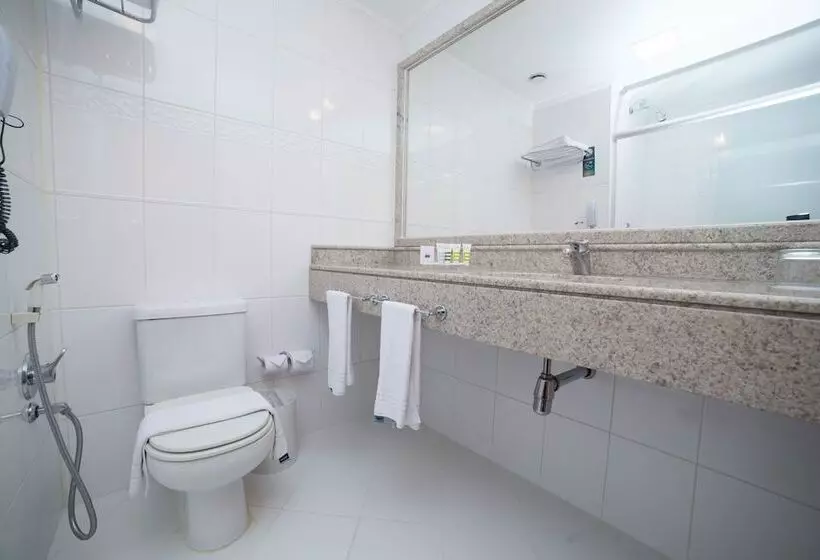 デラックスルーム, Bristol Santo André Abc São Paulo