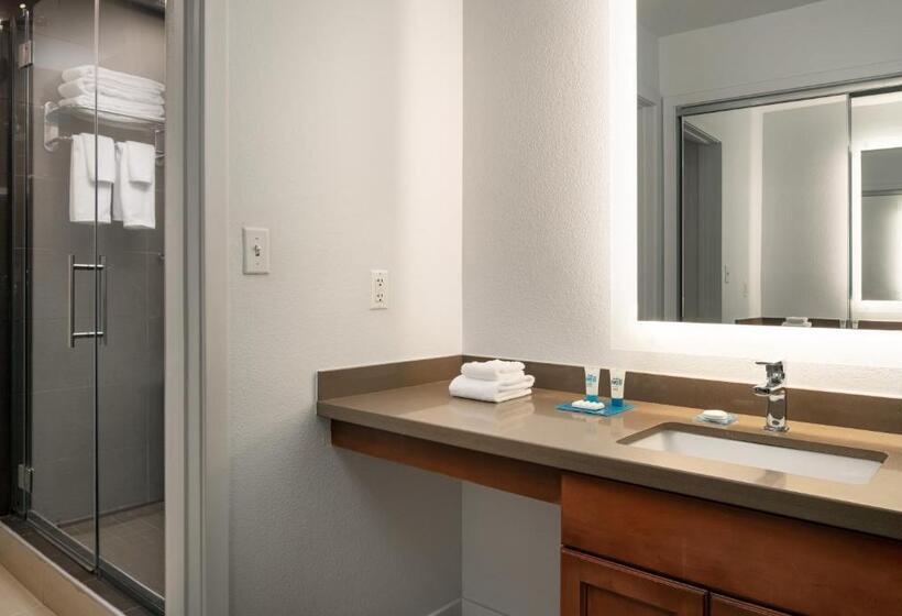 스위트 킹사이즈 침대, Hyatt House Denver Tech Center