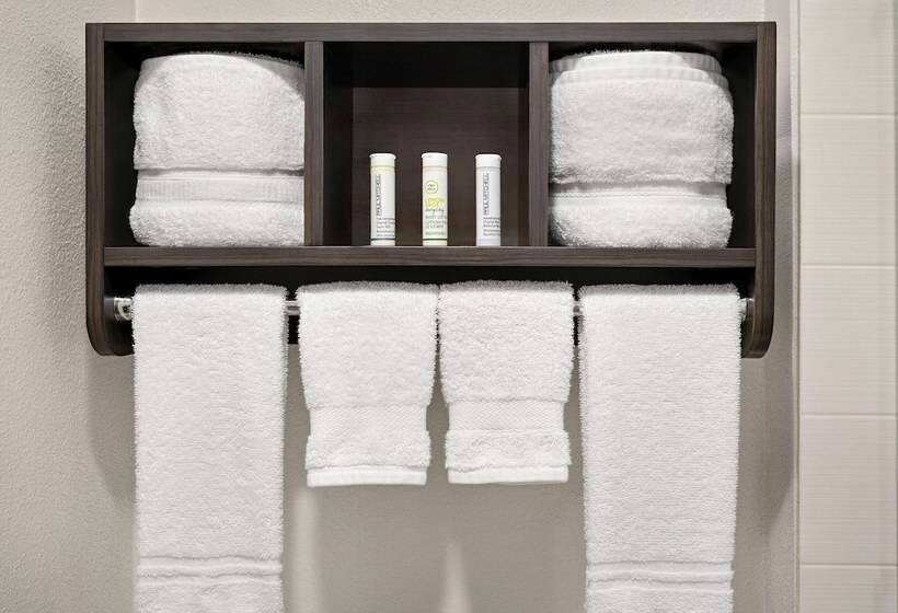 デラックスルーム, La Quinta Inn By Wyndham Columbus Dublin