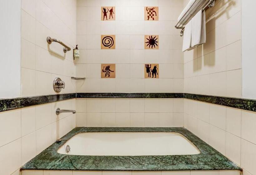 غرفة بيزنس, Lemon Tree Hotel, Ahmedabad