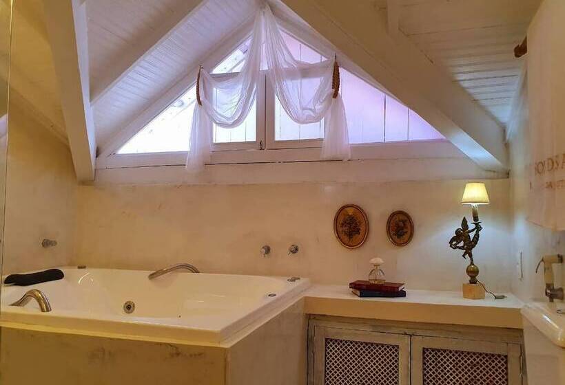 デラックススイート, Solar Das Artes Pousada Boutique  Morro