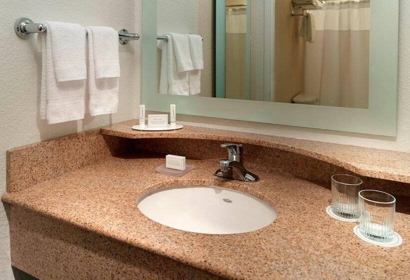 套房, Springhill Suites By Marriott Atlanta Buckhead