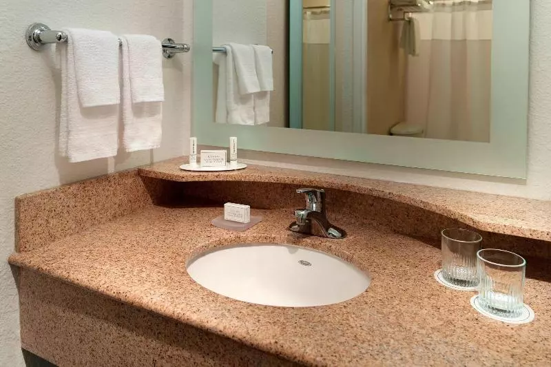 キングサイズベッドのスイートルーム, Springhill Suites By Marriott Atlanta Buckhead
