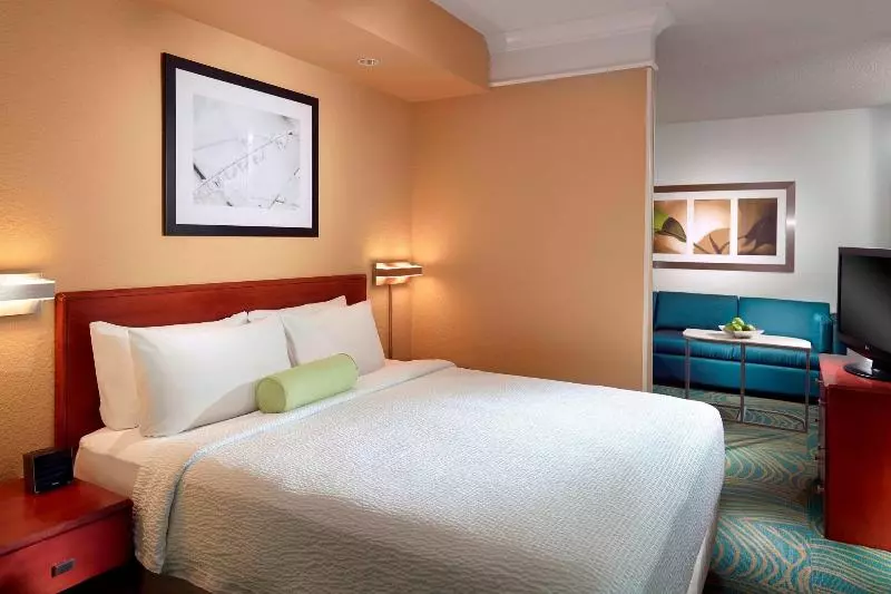 キングサイズベッドのスイートルーム, Springhill Suites By Marriott Atlanta Buckhead