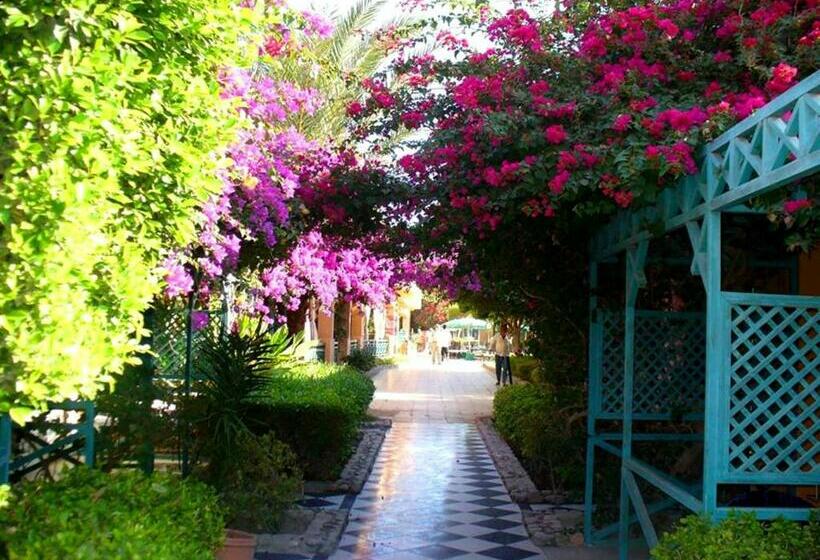 اتاق استاندارد با چشم‌انداز باغ, Giftun Azur Resort