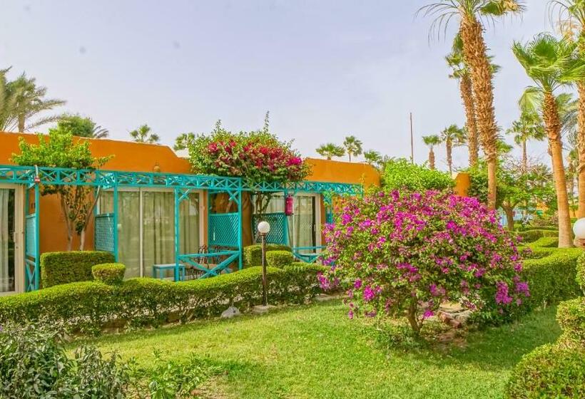اتاق استاندارد با چشمانداز باغ, Giftun Azur Resort