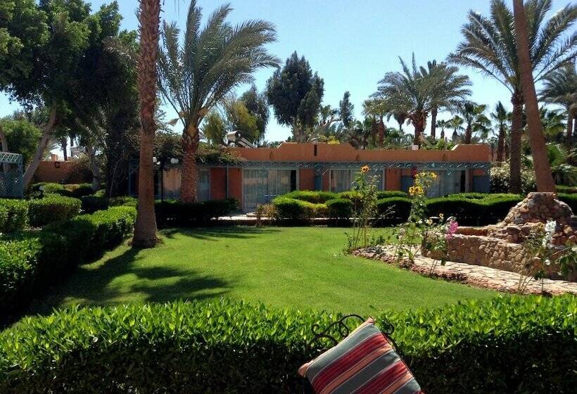 اتاق استاندارد با چشمانداز باغ, Giftun Azur Resort