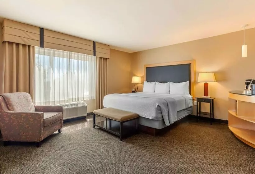 سوییت, Cambria Hotel Ft Collins
