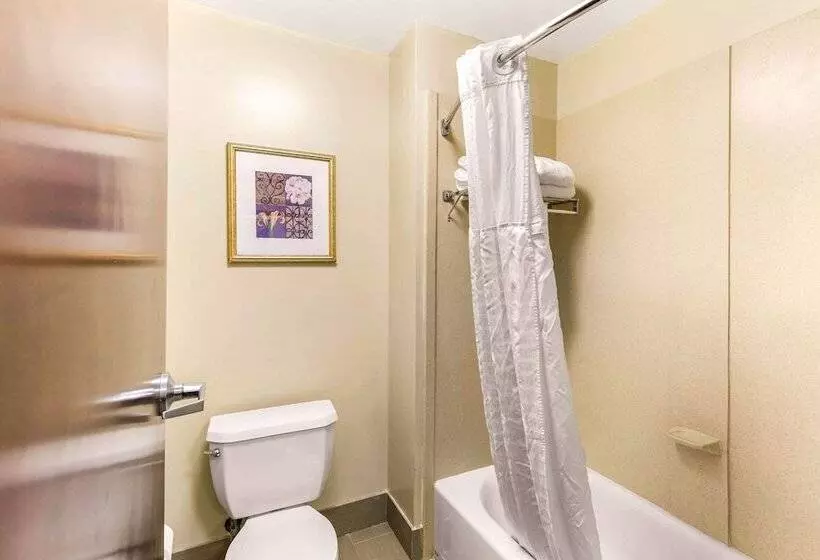 スイート, Comfort Suites Columbia Gateway