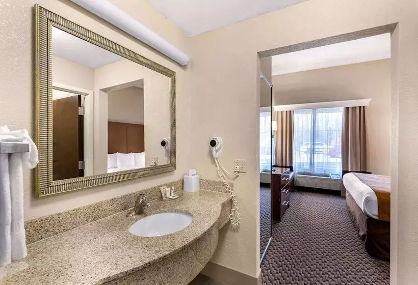 スイート, Comfort Suites Columbia Gateway