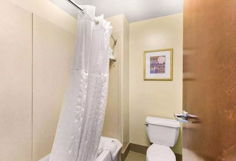 スイート, Comfort Suites Columbia Gateway