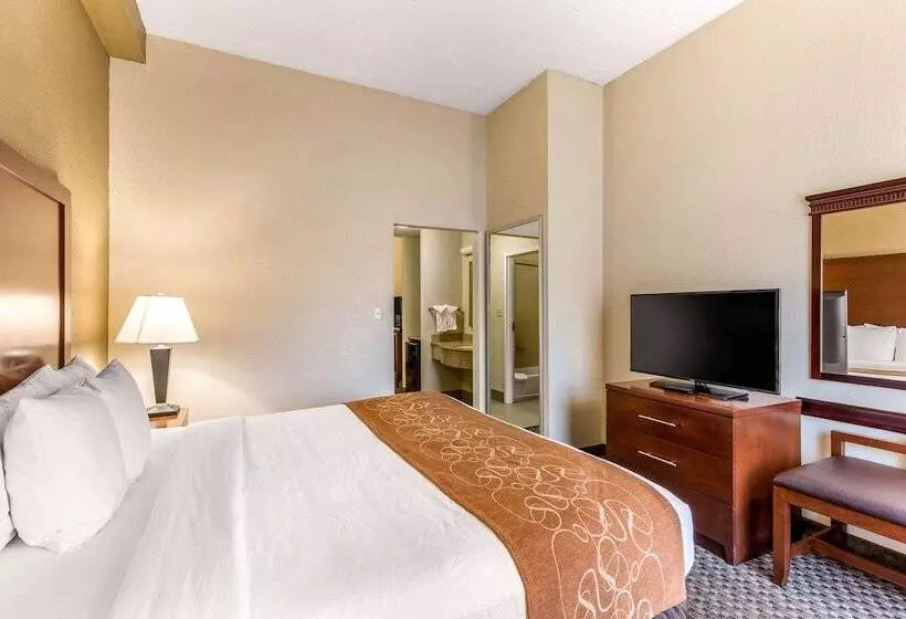 スイート, Comfort Suites Columbia Gateway