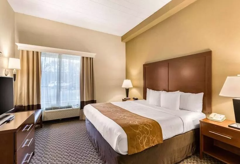 スイート, Comfort Suites Columbia Gateway