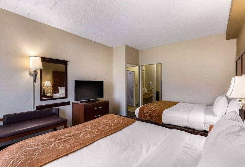 套房, Comfort Suites Columbia Gateway