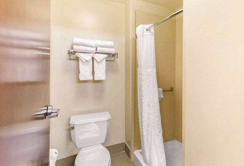 套房, Comfort Suites Columbia Gateway