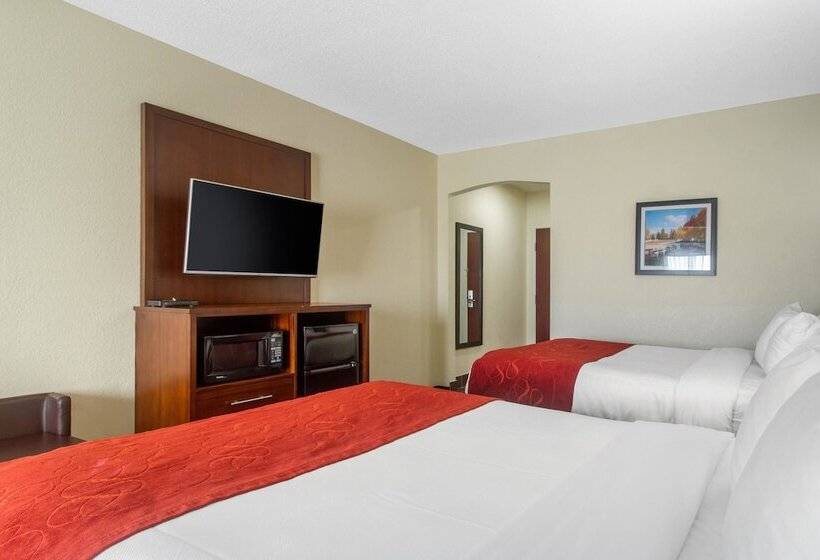 스위트, Comfort Suites